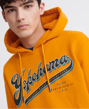 Superdry Alchemy Férfi Kapucnis Pulóver Arany | SYRUX8745